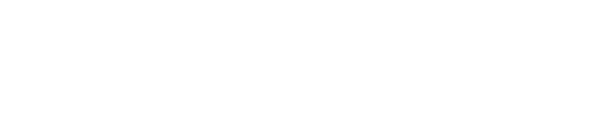 DT Lark Systems logo